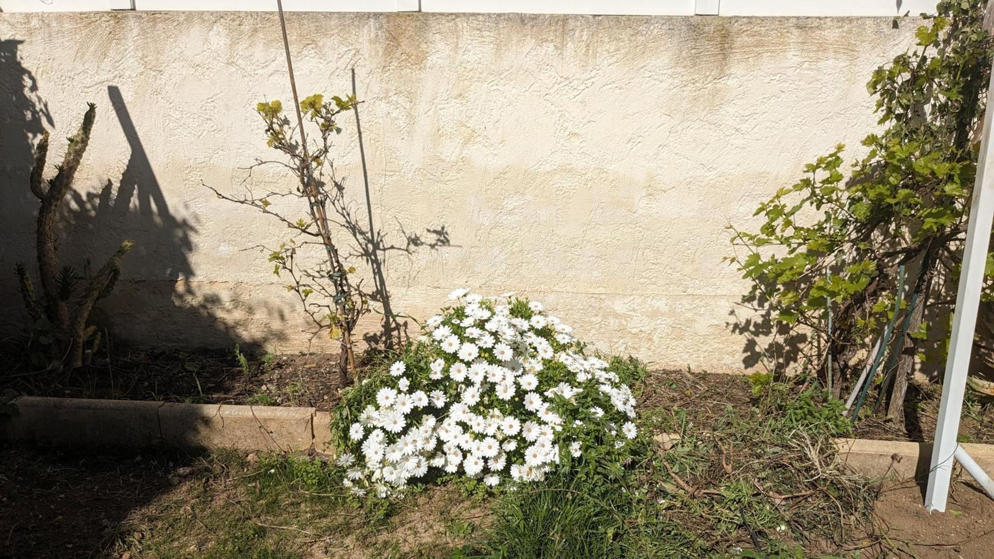 Maisonnette Kalis Calme Avec Climatisation Parking Jardin Cadre Campagne Plages A Pieds Bandol Buitenkant foto